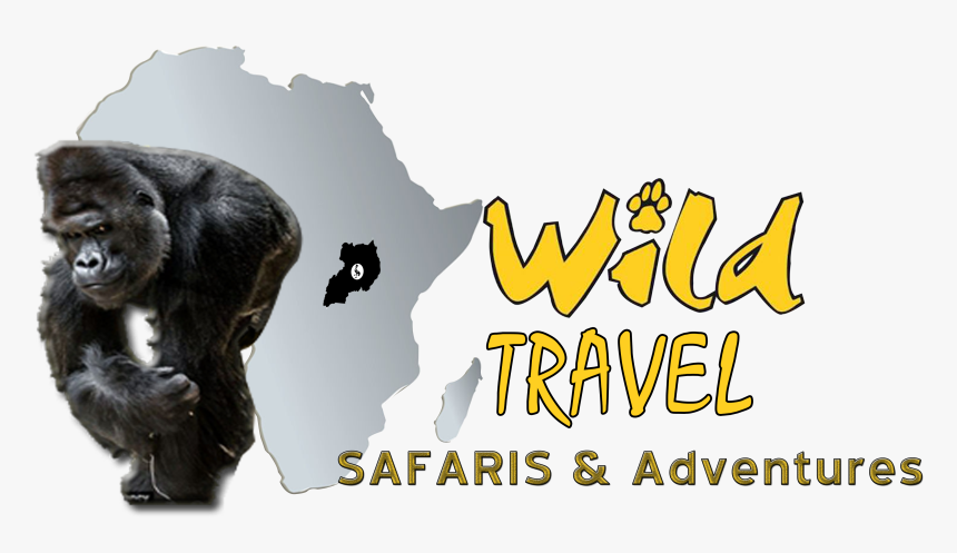 Wild Travel Safaris & Adventures logo